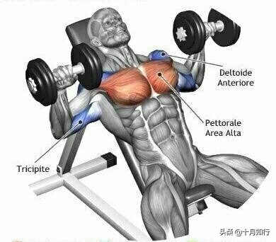 把胸肌练宽,把胸肌练大健身房动作