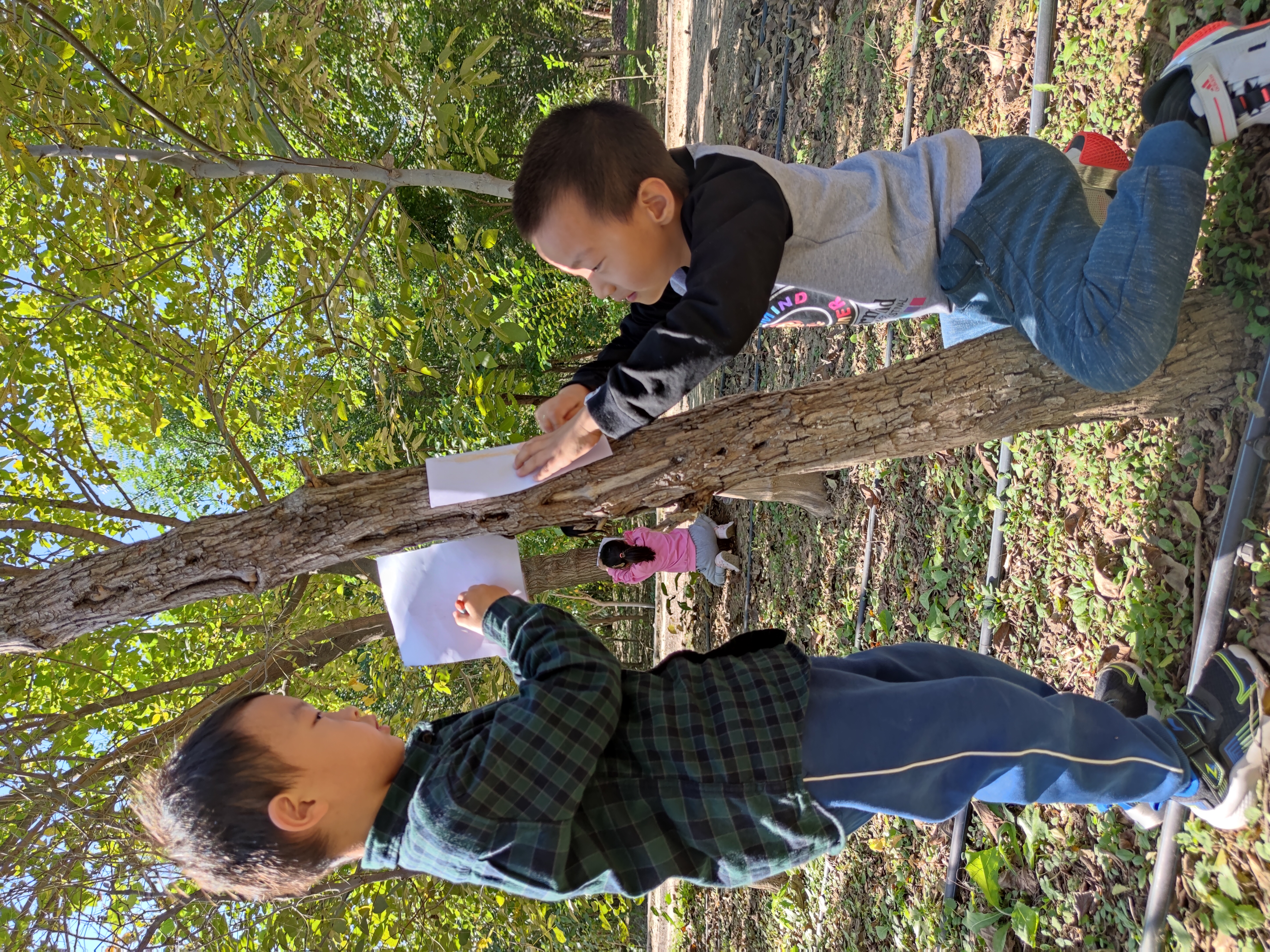日日新小学怎么样,为什么小学要换班
