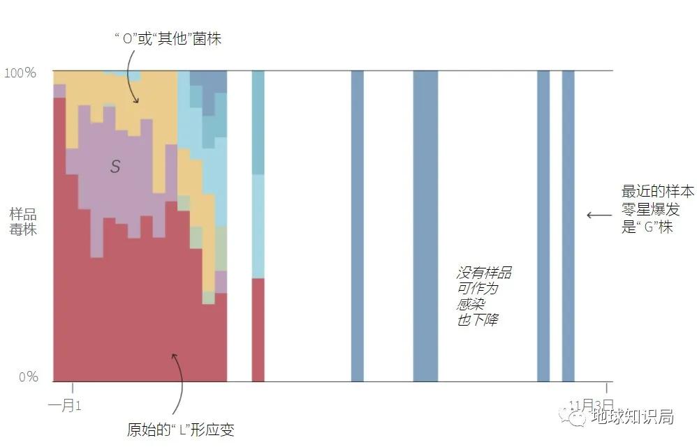 英国又发现一种新冠变异病毒,英国变异病毒严重性
