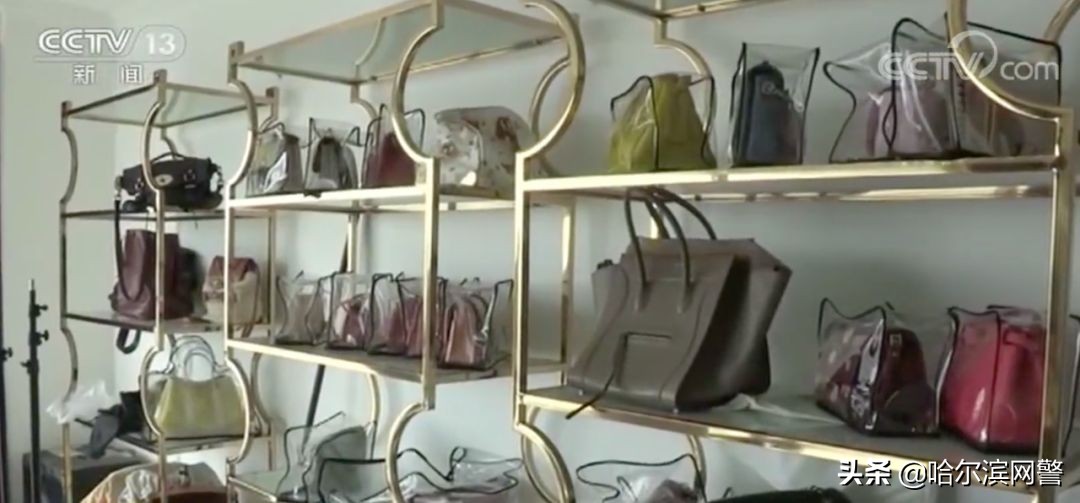 蚂蚁案件真实案例,蚂蚁搬家10亿元走私案