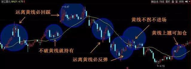 短线高手炒股养家,短线高手收益