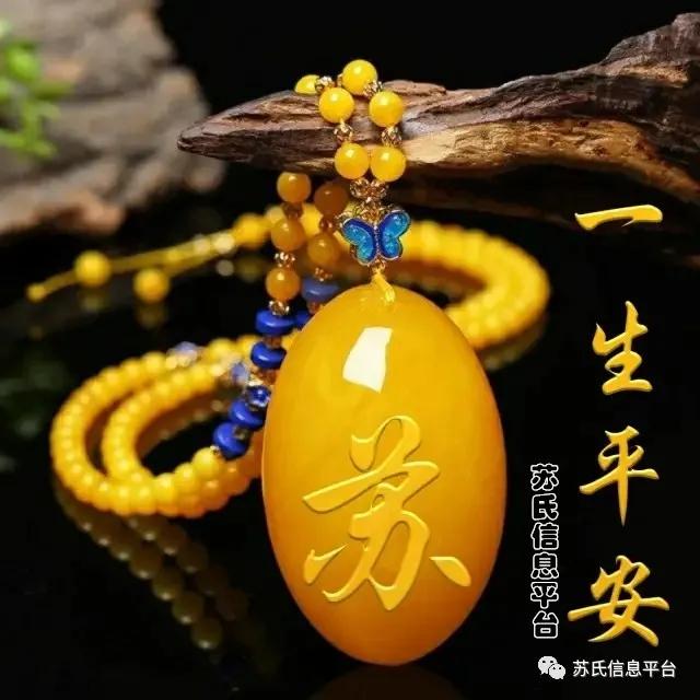 饶平大埕苏信,广东饶平苏氏宗谱