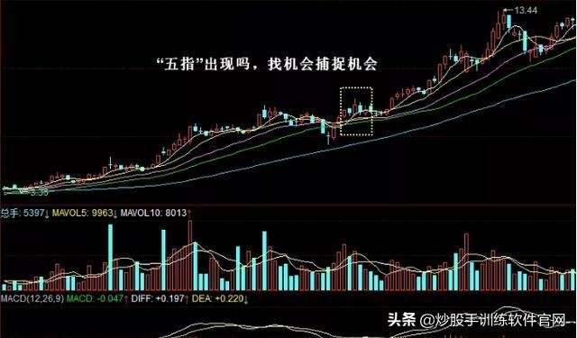 开启主升浪前的k线形态,五指擒拿龙爪手