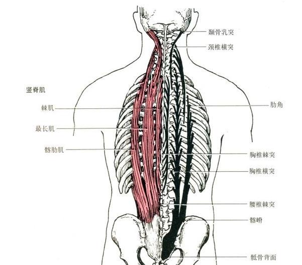 你的核心有多重,你的核心在哪里