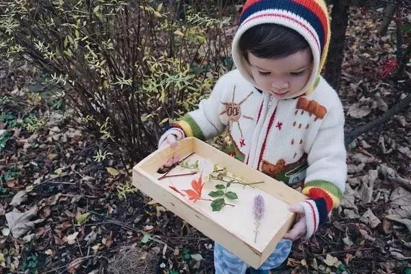 0-3岁儿童幼儿园游戏亲子益智游戏,蒙氏幼儿小游戏