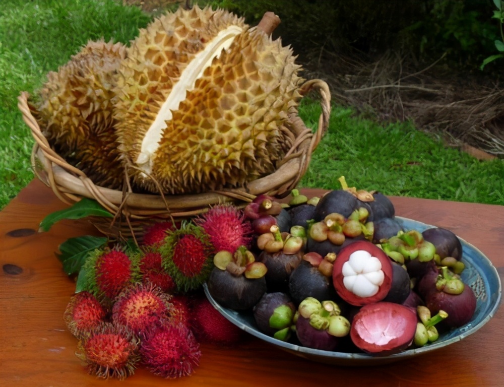 好吃的大斯分享,7：山竹5问