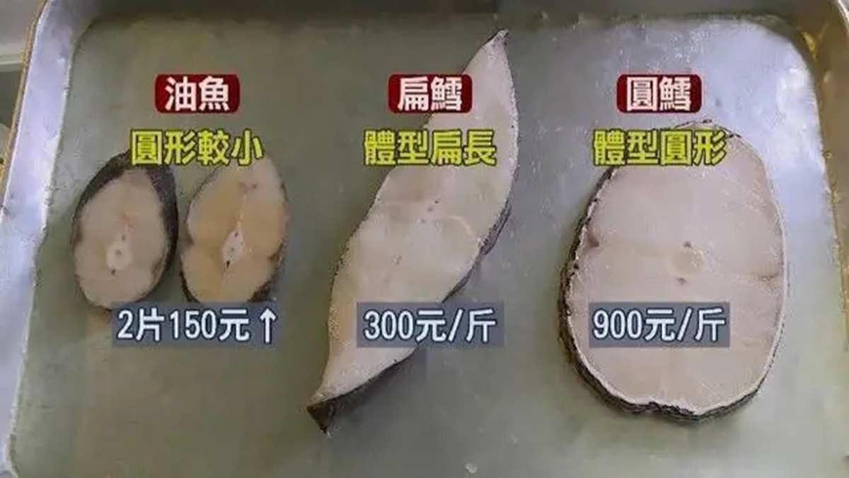 名不虚传的费裤衩鱼，吃完化身喷油射手，香滑口感带来尴尬境遇