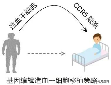 北大教授治疗白血病癌症,中国干细胞治疗艾滋病研究进展
