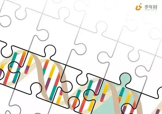 费城染色体形成原因,费城染色体会有什么影响