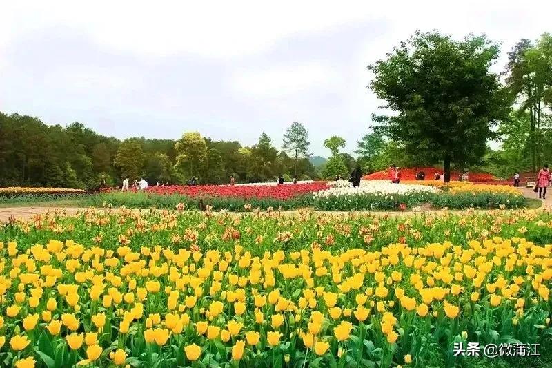 蒲江这3个景点入选,快来投票!探秘四川88个不得不去的景区评选开始啦……