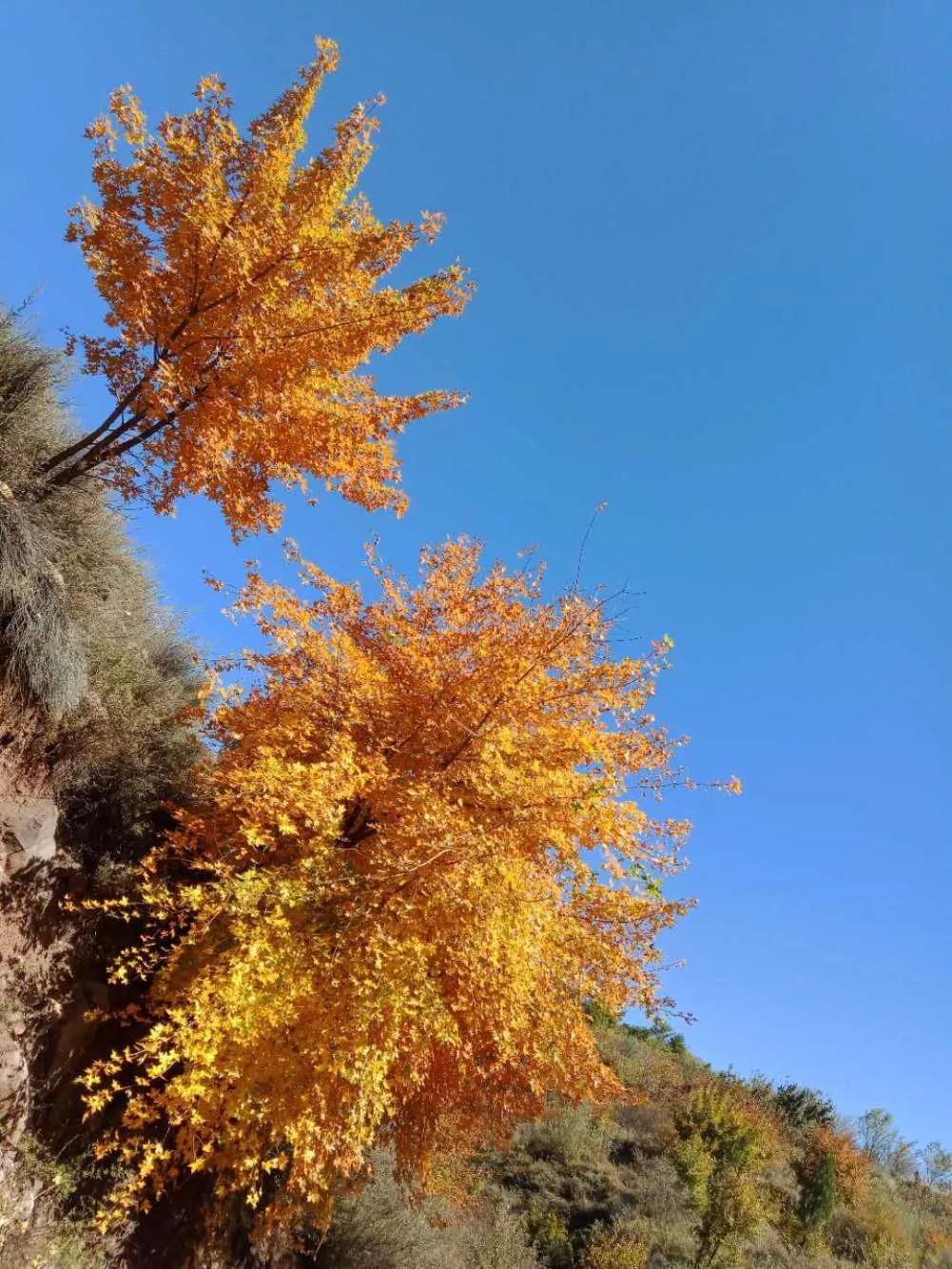 碧岩龙泉山庄,万柏林龙泉山庄