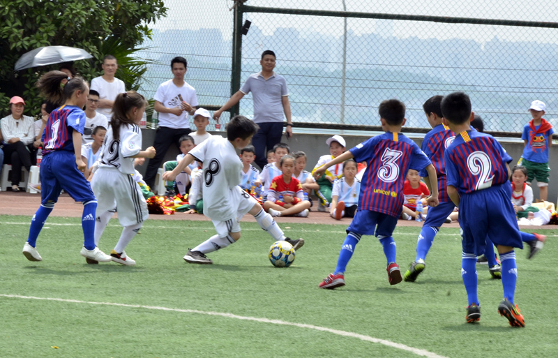 北大资源鲤鱼池小学六一班,北大资源鲤鱼池小学视频