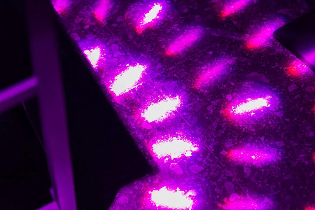 潮人聚集的夜店,潮咖云集