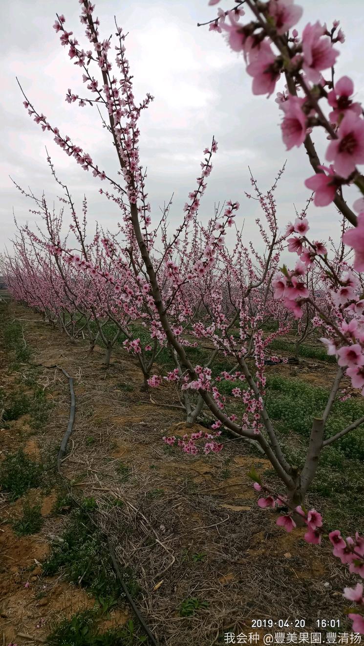 诗和远方在身边完整版,诗和远方在身边