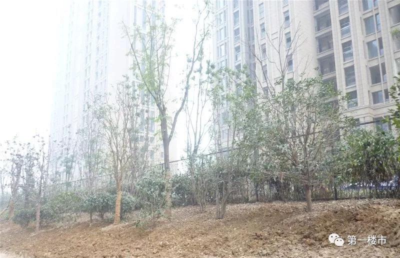 日照华润凯旋门二手房,太原华润凯旋门有卖二手房吗