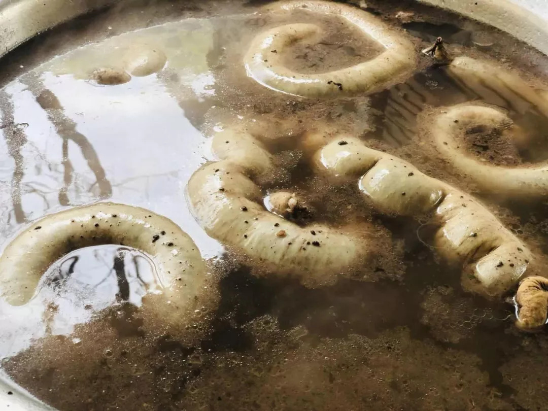 来一场原始森林的探险之旅——大连天门山旅游攻略