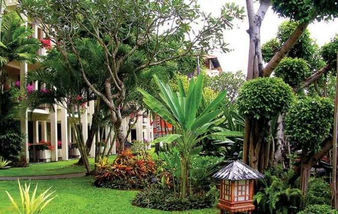 无花果树在庭院内种植有什么寓意,冷杉树长在庭院里风水上有说法吗