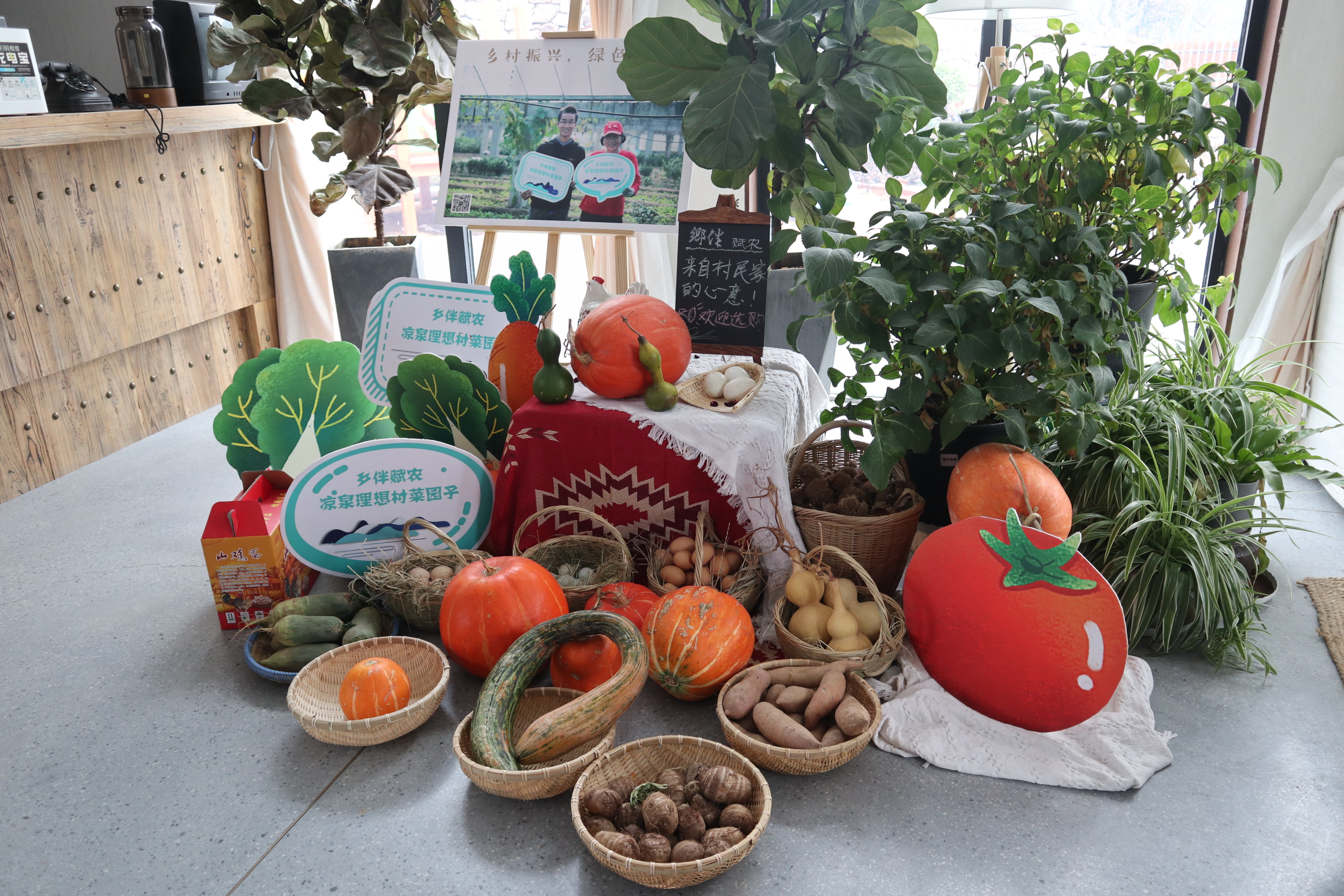 远离城市休闲的好地方,青岛郊区小众好去处