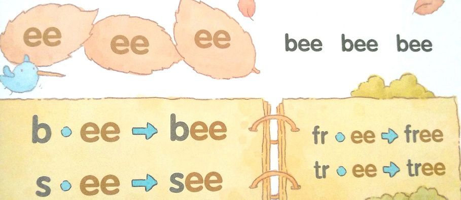 别再被英文培训班误导了，这才是真正的自然拼读