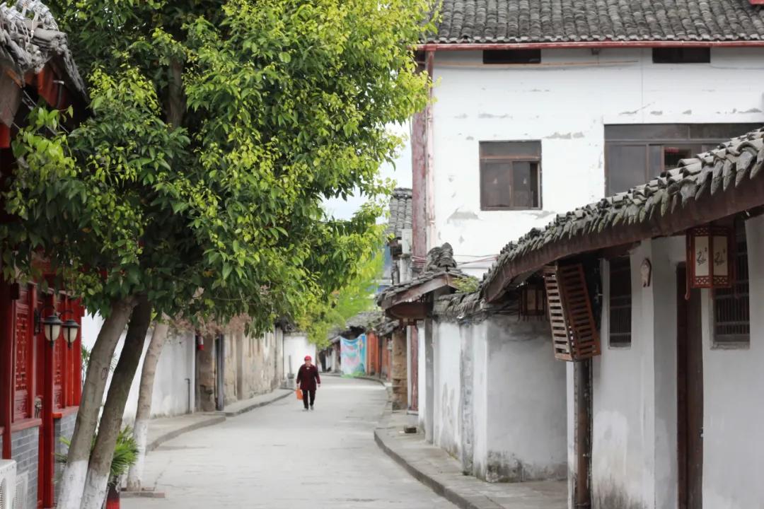 遇见阆中原声,遇见阆中的作品