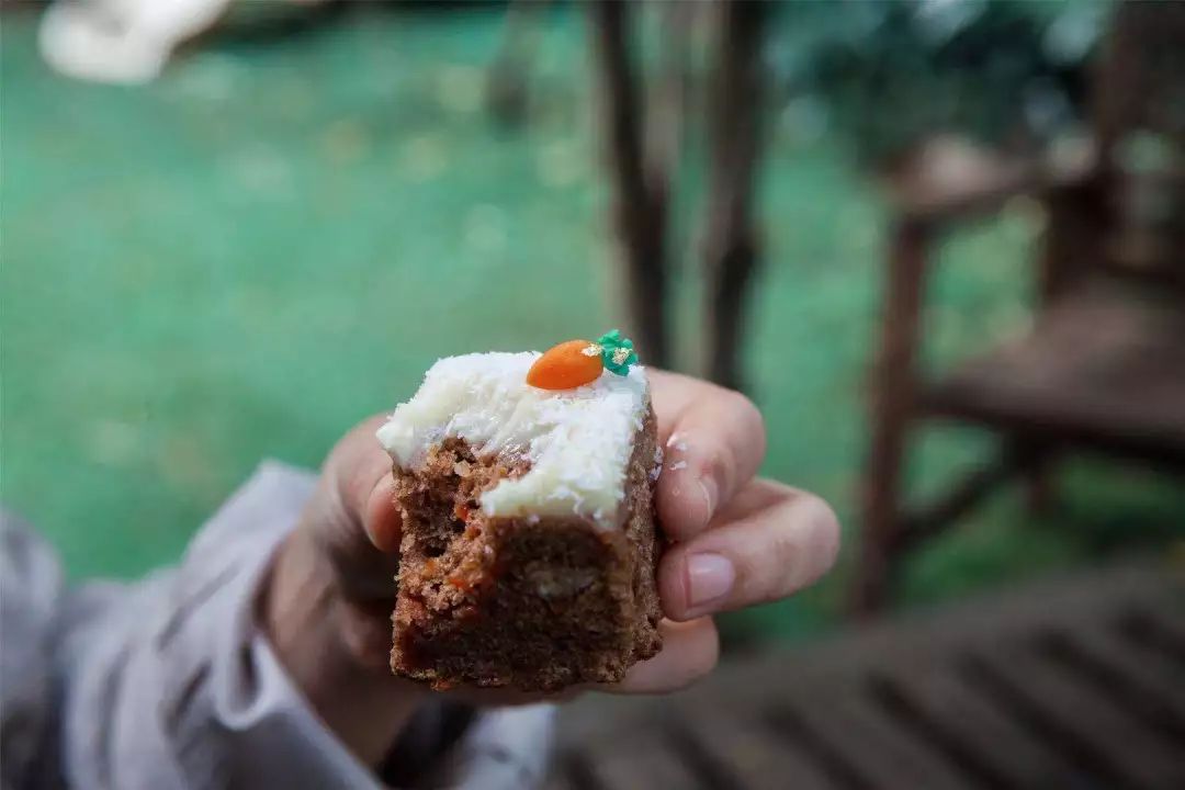 为什么说橘猫招财,橘猫干坏事