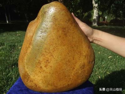 *疆新**石头知多少，请来围观