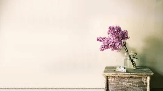 「今日作家」江雨林‖我的同学阿狗（散文）