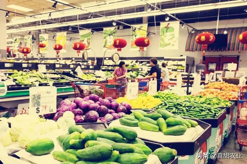 蔬菜代销的存在的问题,蔬菜市场代卖有什么风险吗