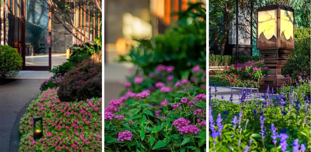 「源树作品」府院归家·静听山语|鸿坤·山语墅