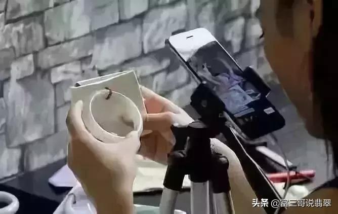 中国关于直播买翡翠的法律,缅甸直播卖翡翠违法吗