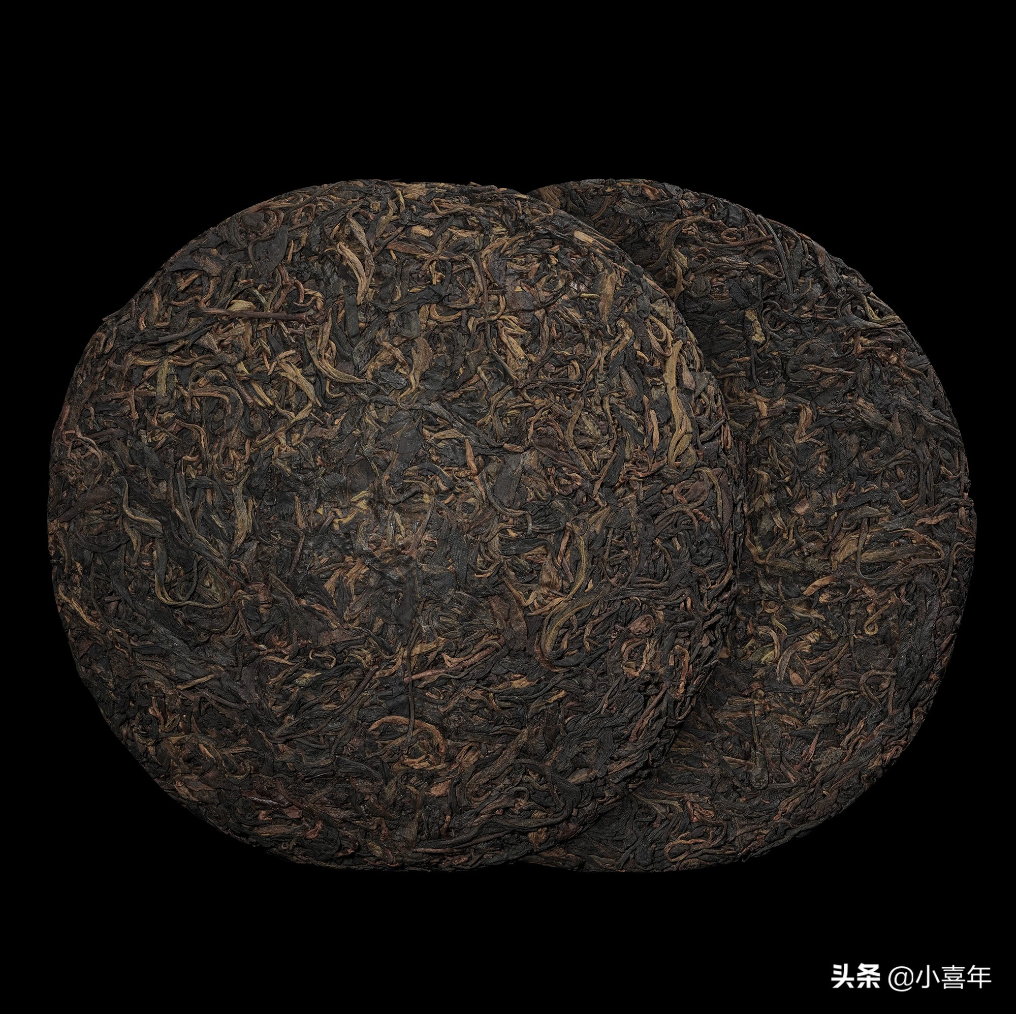 茶科普知识,茶科普视频开头