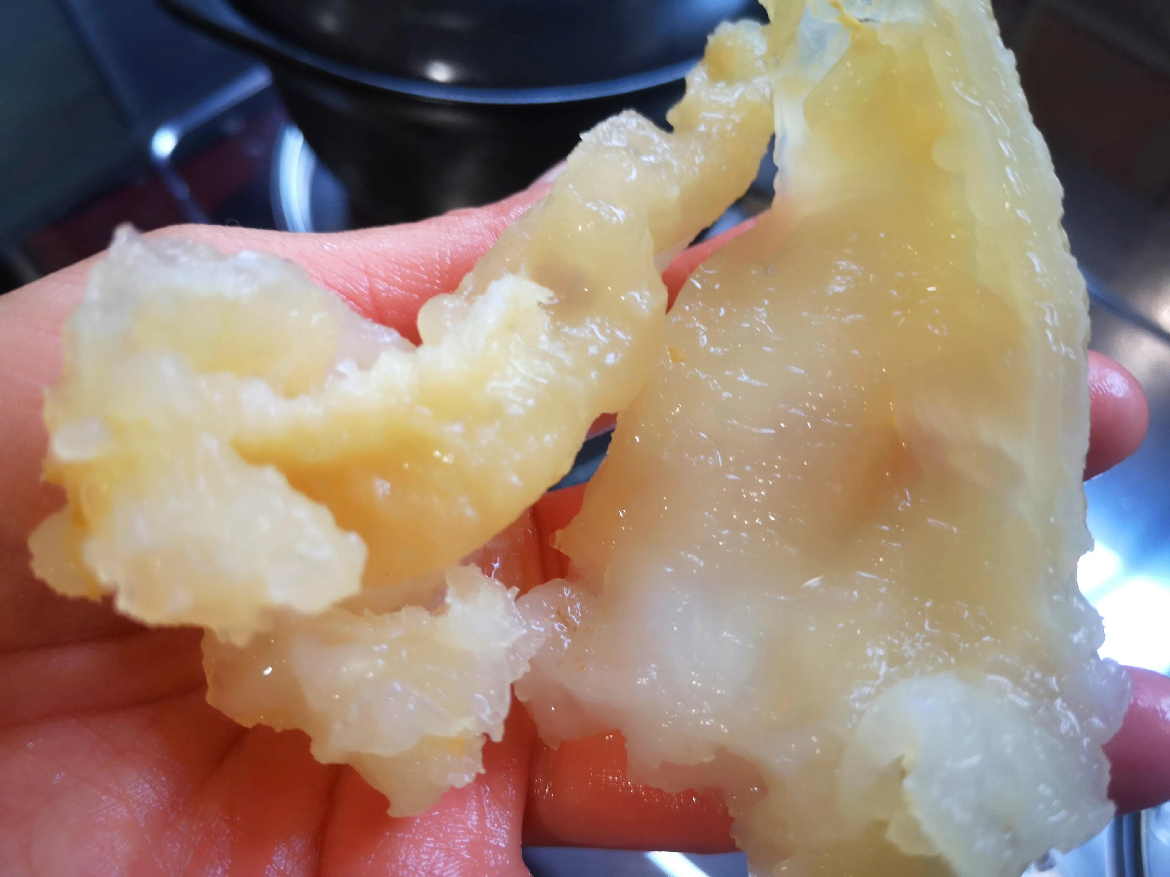 土鸡海参焖花胶,春节花胶海参鸡汤最佳做法