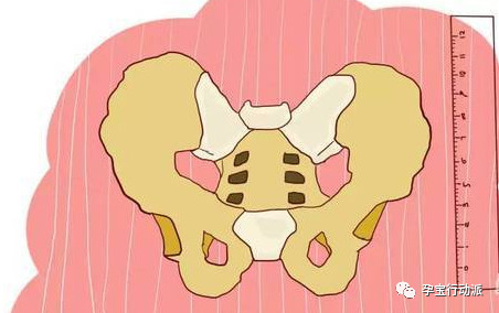 孕期周刊第14周,孕期记录30周