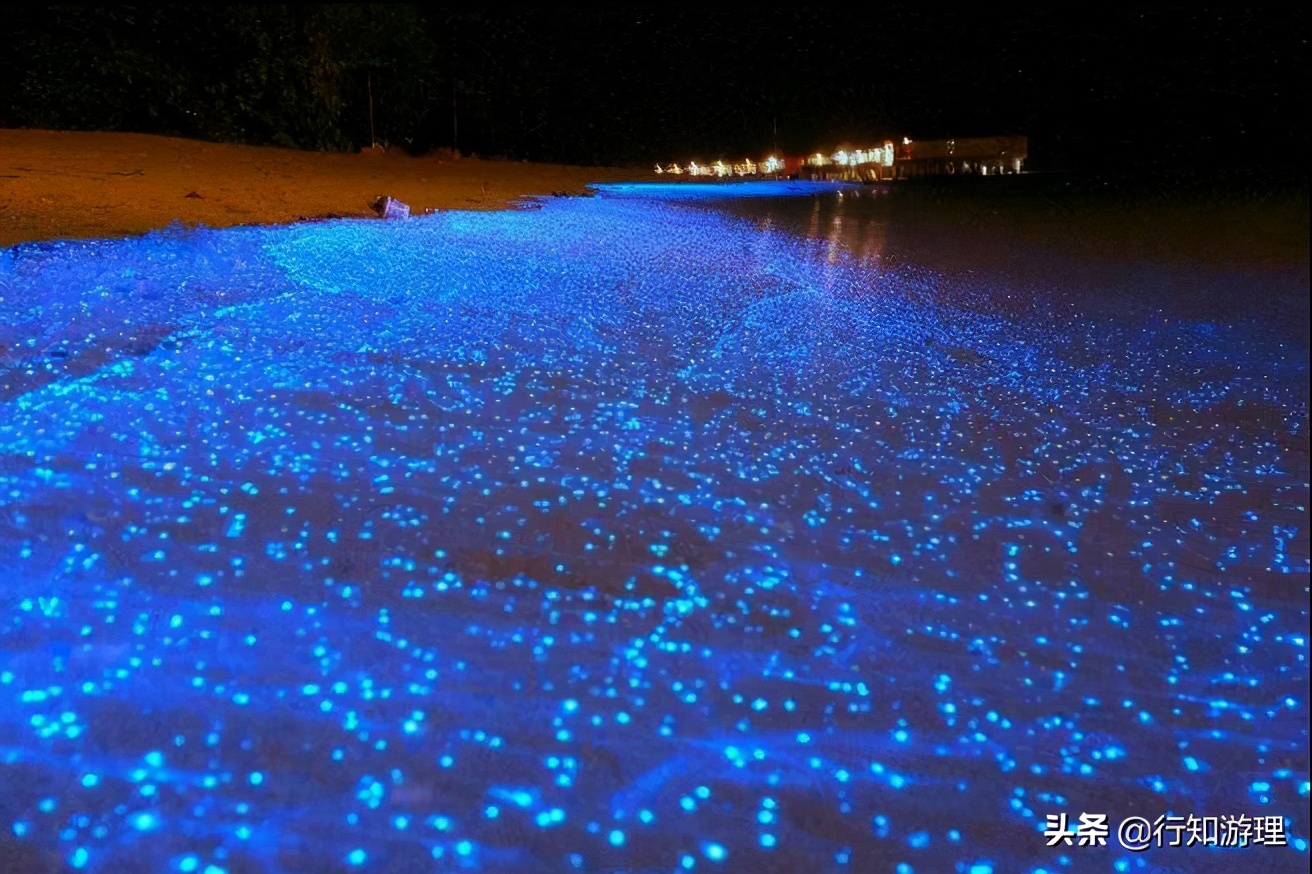 「共63题」强国争上游答题中的“动物世界”专题（最全辨析）