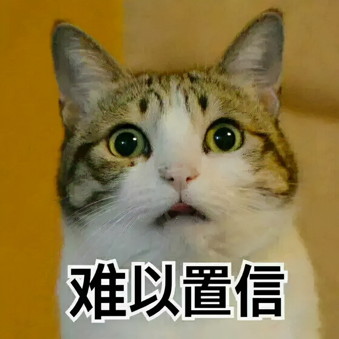 腹壁整形和剖腹产哪个创伤大,腹壁整形和腹直肌一起做吗