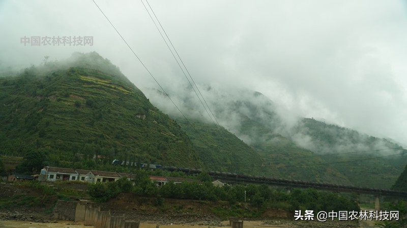 天水到大水川一日游,自驾游到天柱山停哪里最方便