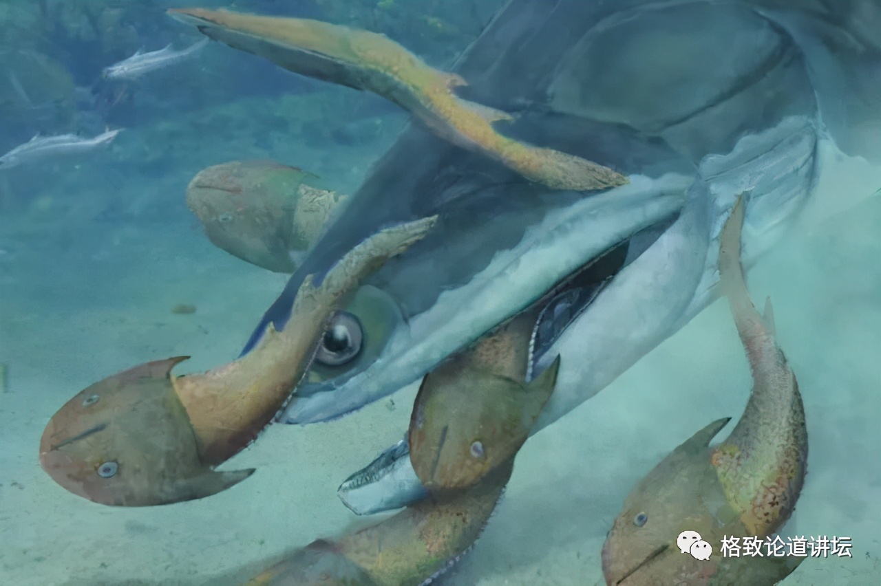 我们用来咬合的颌骨，竟和这条古鱼海怪一脉相承