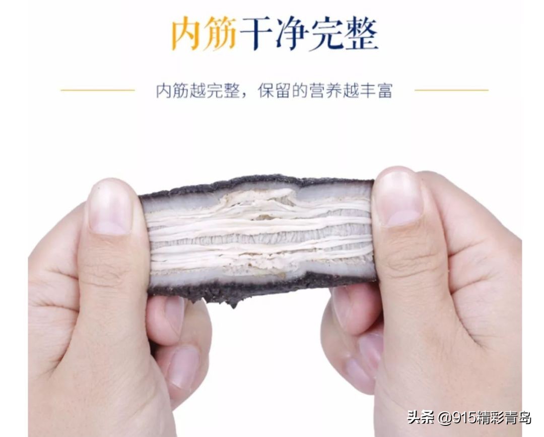 中国最好的海刺海参,黄金刺参西沙群岛深海纯野生海参