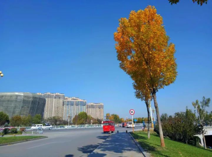 聊城最美美景视频,聊城风景排名前十