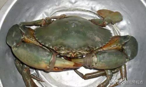 作为潮汕人，这89种海鲜你都能对上号吗