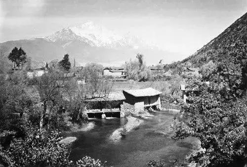 寻找失踪的学者为什么找不到,寻找消失的学者在哪