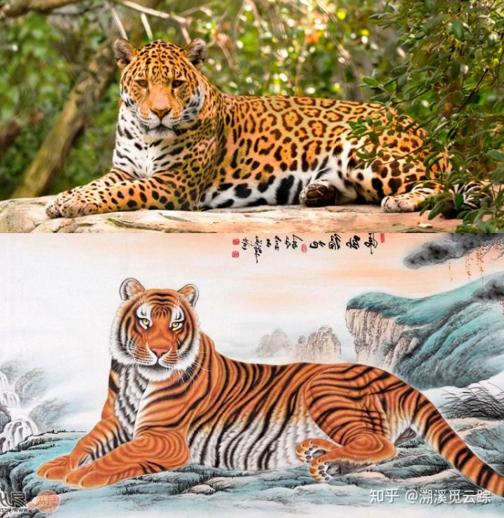 有哪些容易被认错的动物,容易被欺负的动物有哪些