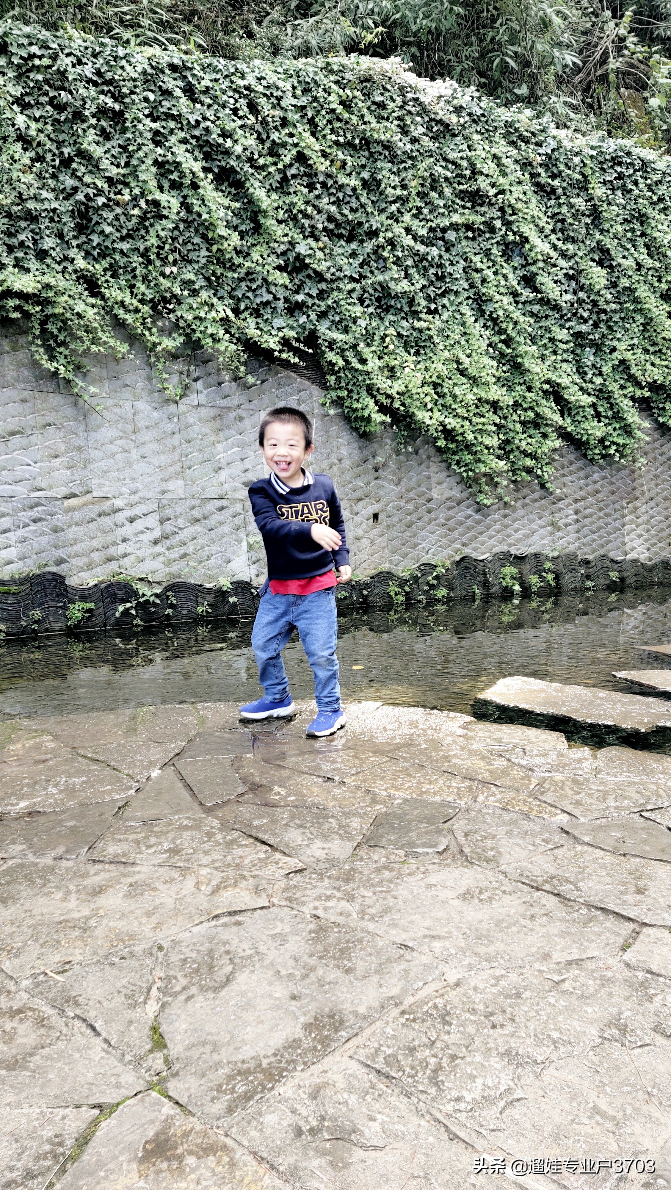 从茶马花街到西山龙门的旅游路线,西山森林公园旅游攻略一日游价格