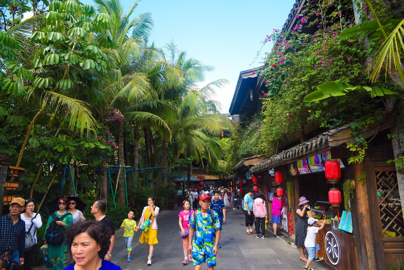 宋城千古情哪个区好,宋城千古情哪排的位置好