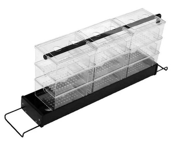 想把鱼养好,先把过滤这点事儿整明白就算向前迈了一大步