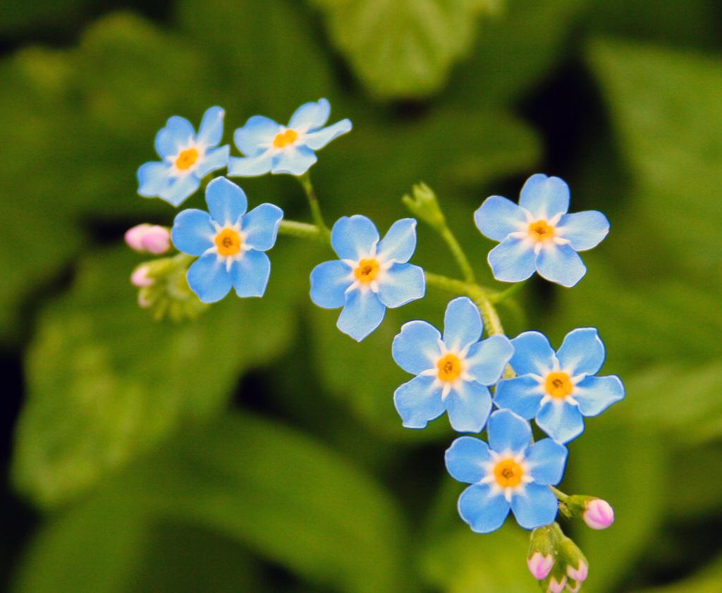 男子深夜去女子家不走,被堵怎么脱身