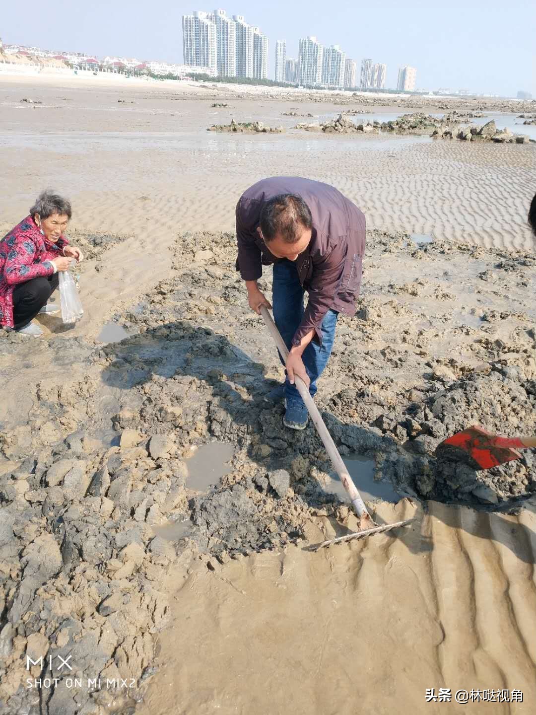 乳山生蚝养殖基地观光,乳山哪里可以养殖牡蛎