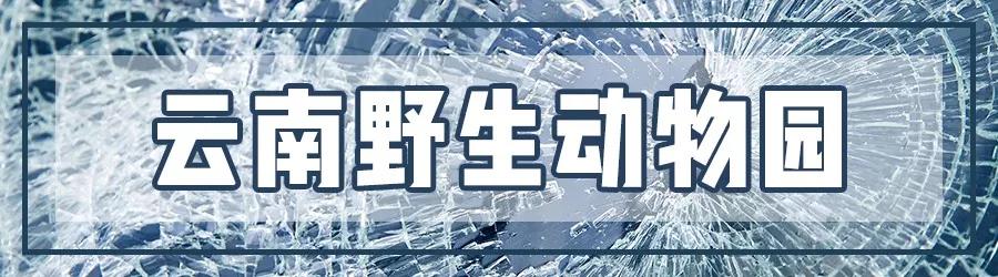 昆明玻璃栈道有哪些,昆明景点之玻璃栈道
