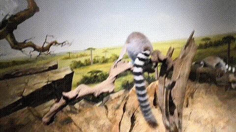 成都夜环线好玩的地方,成都四天三夜小环线