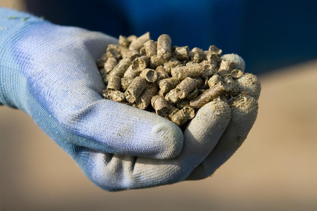 渔具营销新套路有哪些方法,渔具套路大揭秘